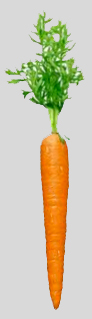 a slim carrot